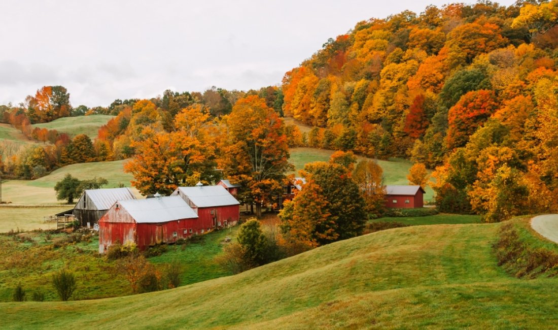 Spettacolo d'autunno in Vermont. Credits AndTheyTravel / Shutterstock