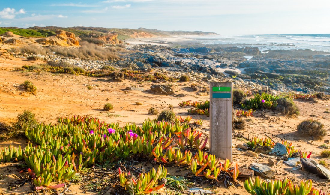 Natura selvaggia lungo la Rota Vicentina. Credits Andrii Lutsyk / Shutterstock