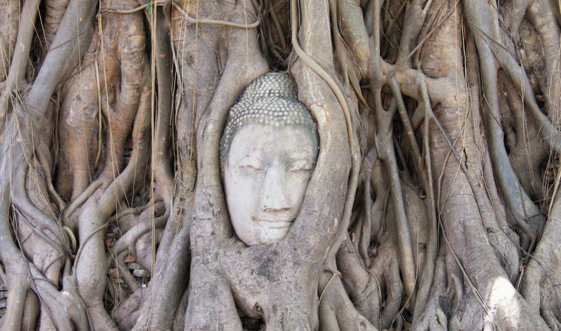 Ayutthaya, il buddha nell’albero del Wat Mahathat © Elisa Polini e Luca Landoni