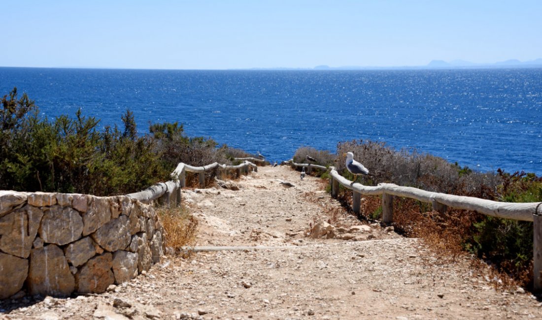 A spasso sull’isola di Benidorm © Cristina Rampado