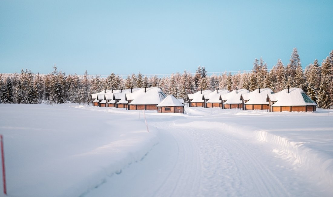 Igloo in vetro immersi nella foresta. Credits Bento Orlando / Shutterstock