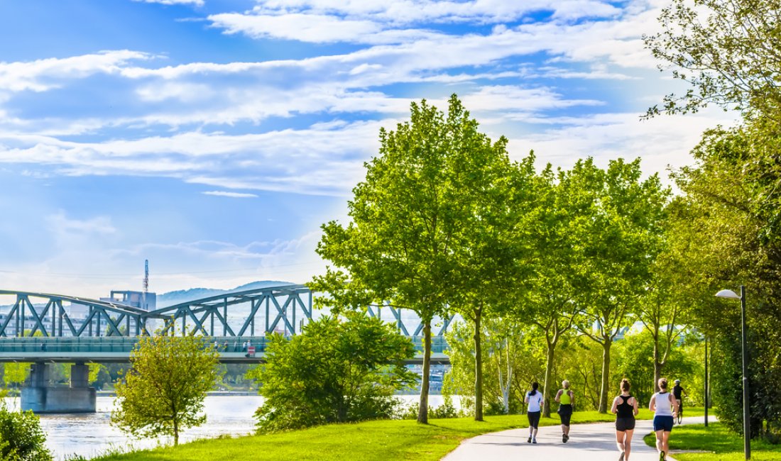 Podisti su un viale della Donauinsel. Credits Bravavod161 / Shutterstock