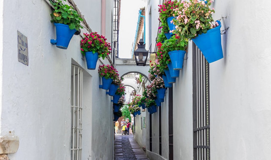 Calle de las flores. Credits Capturing the World