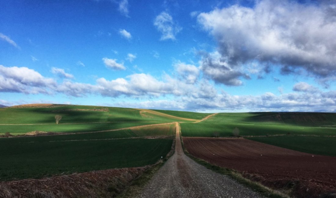 Lo sguardo si perde, ma è saldo il cammino © Erika Scafuro