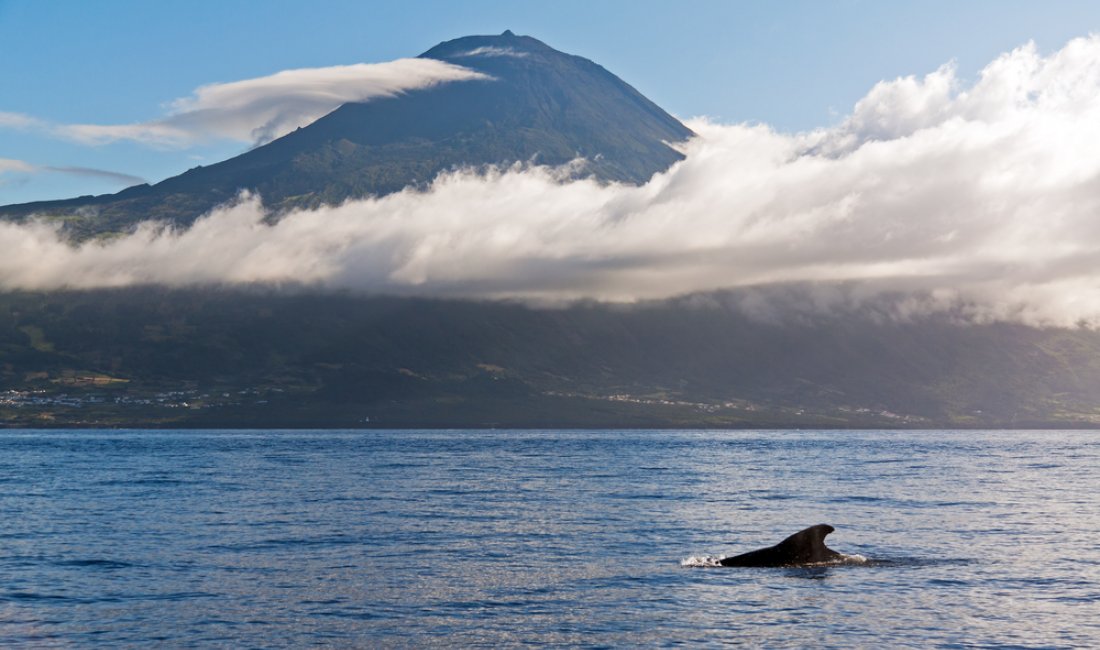 La Montanha do Pico vista dal mare. Credits Dennis van de Water / Shutterstock