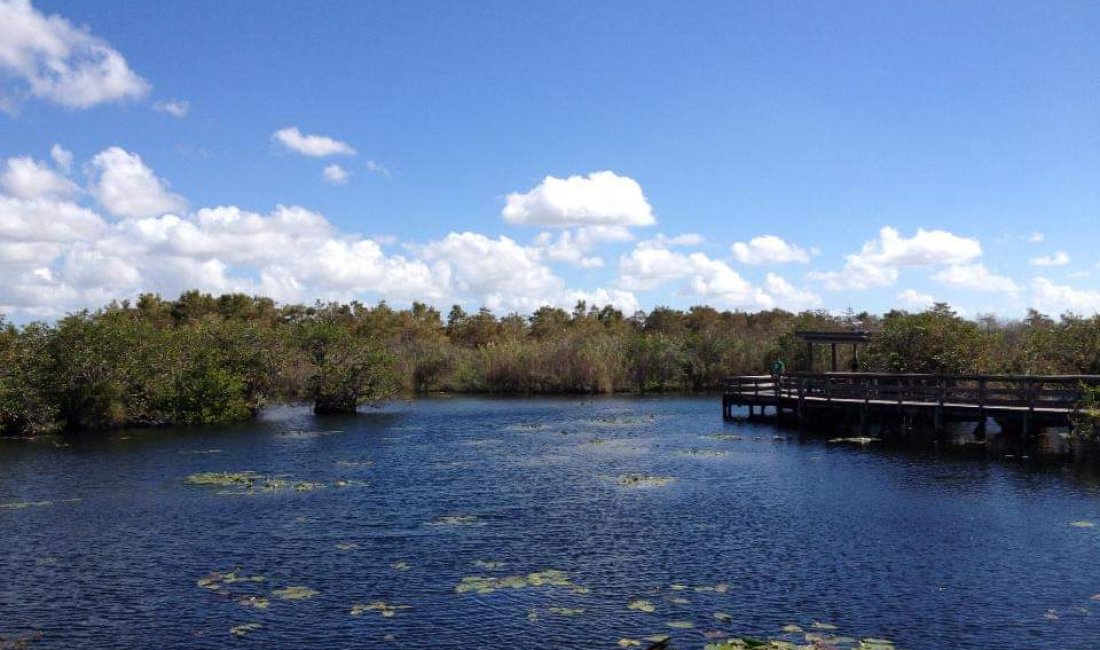 Anhinga Trail, Everglades © Usa la valigia