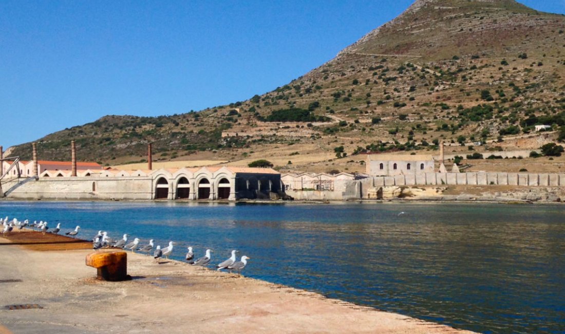 Gabbiani al porto di Favignana © Elimeli