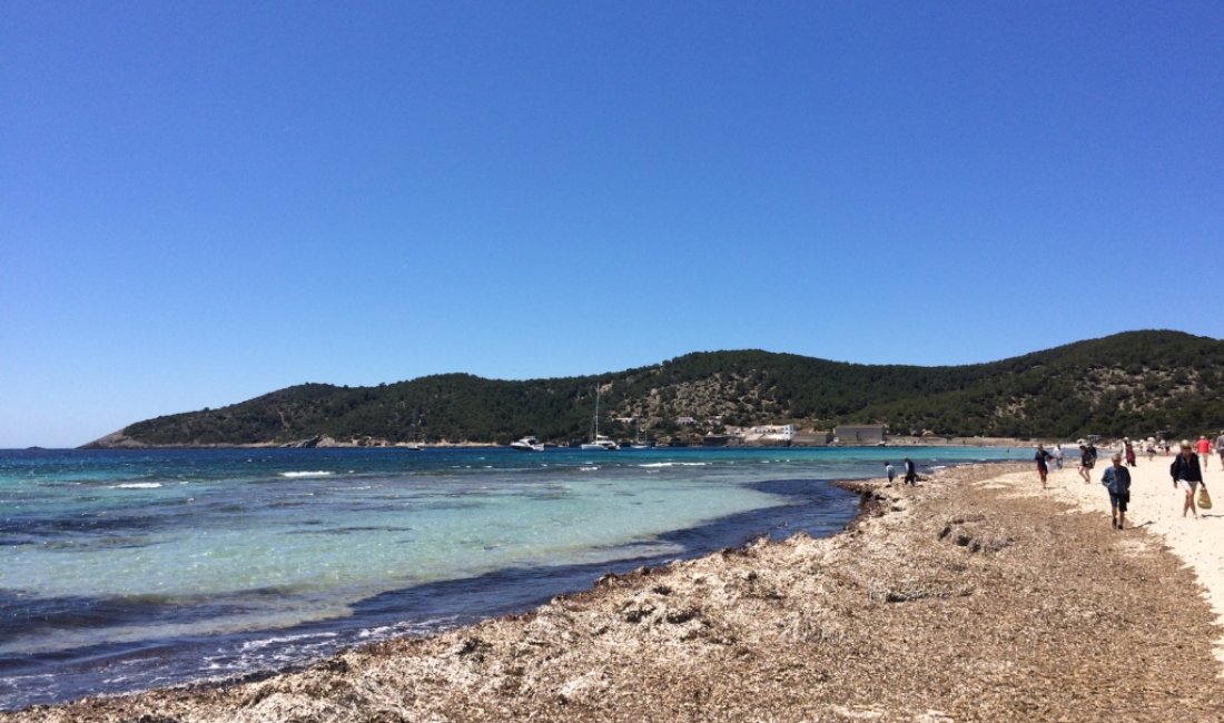 Ses Salines, Ibiza © Erika Scafuro