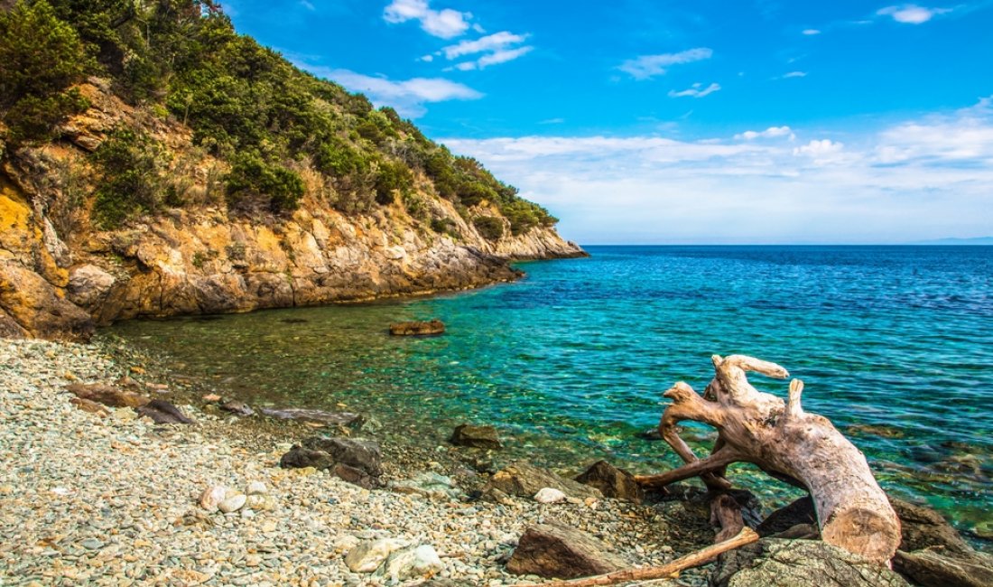 Cala del Gesso. Credits Jaro68 / Shutterstock