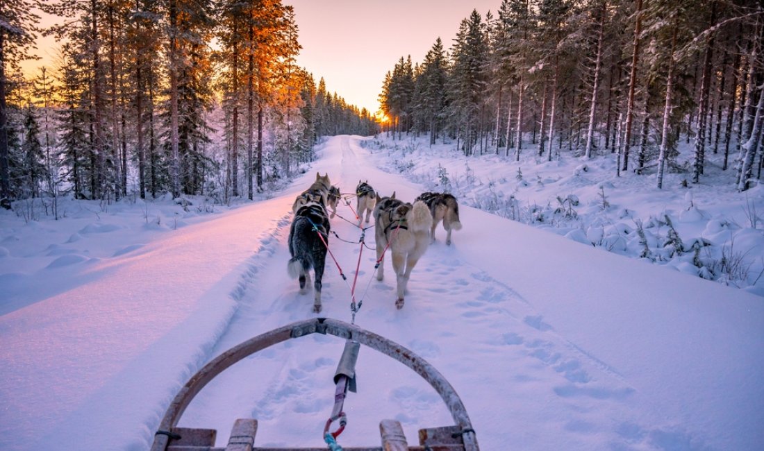 Si vola sulla neve. Credits Kevin Pluk / Shutterstock