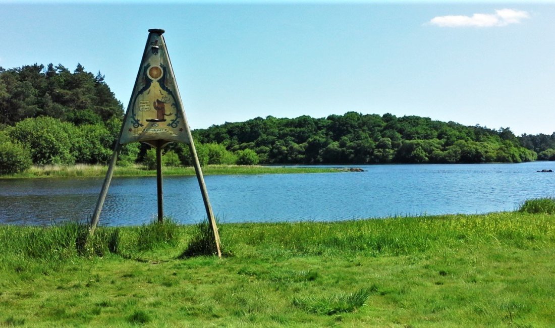 La foresta de la Brocéliande. Credits Giovy Malfiori