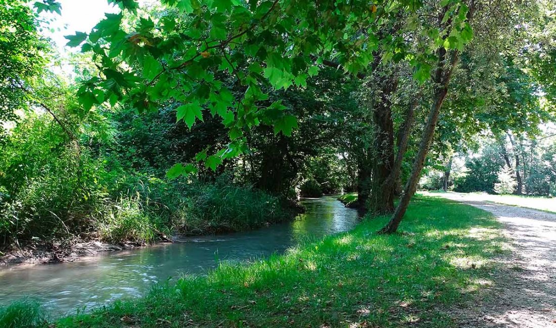 Parco delle Risorgive Codroipo | credit Elisa Malisan