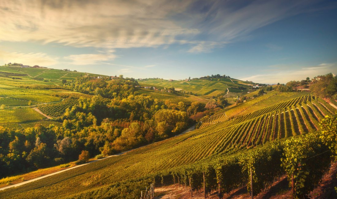 Le Langhe presso Neive. Credits StevanZZ / Shutterstock