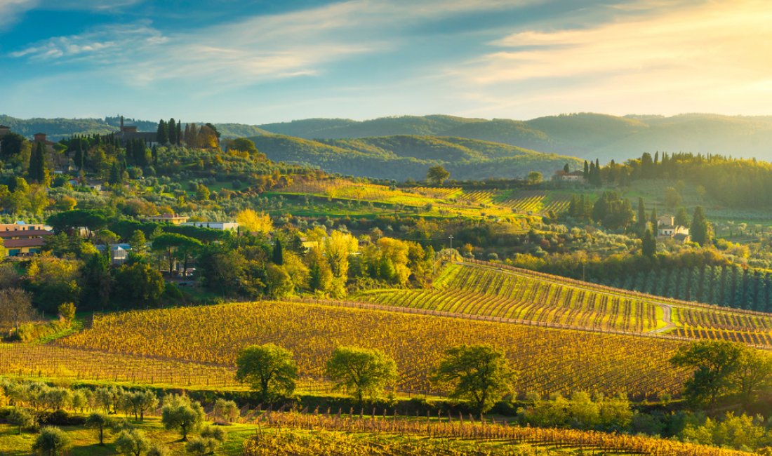 I vigneti di Panzano. Credits StevanZZ / Shutterstock