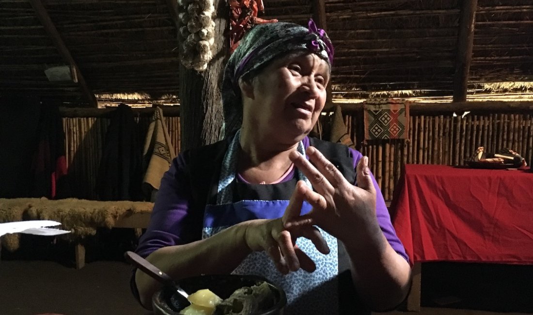Temuco, la signora Rosa della comunità Mapuche © Linda Cottino