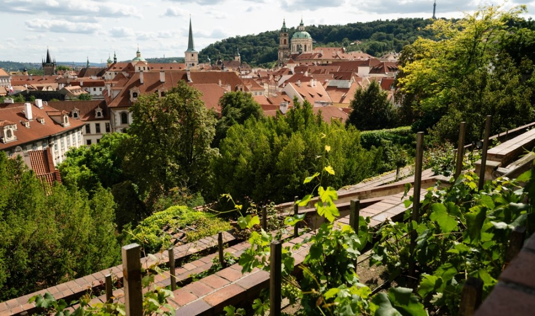 C'è un vigneto nel cuore di Praga. Credits Vidu Gunaratna / Shutterstock