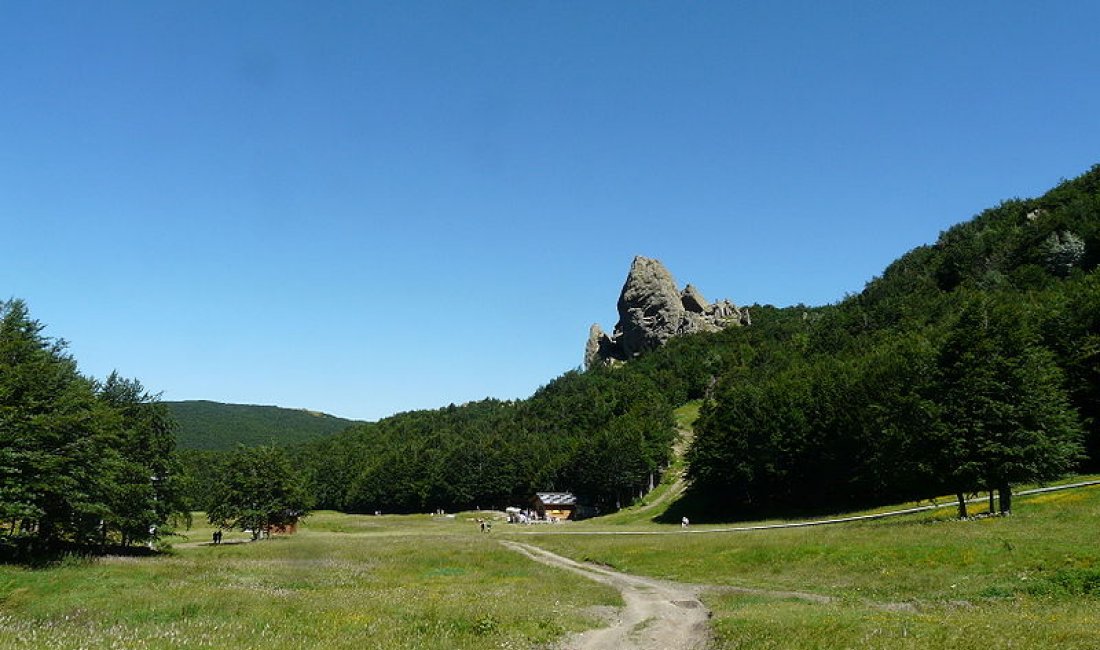 Santo Stefano d'Aveto, prati verdi