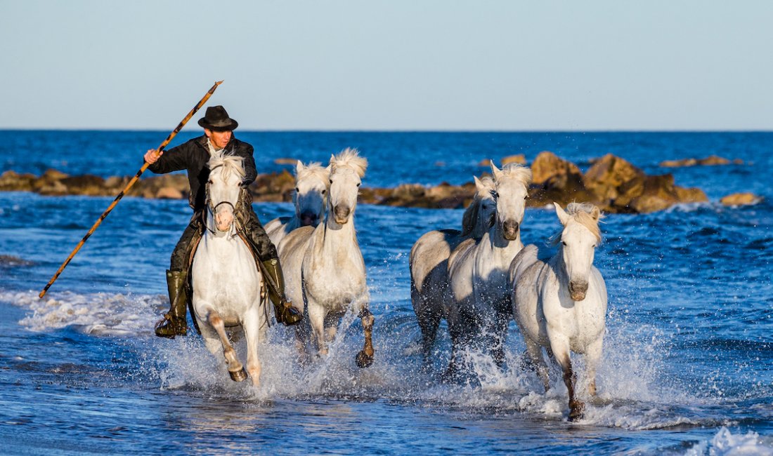 Camargue, fascino inconfondibile