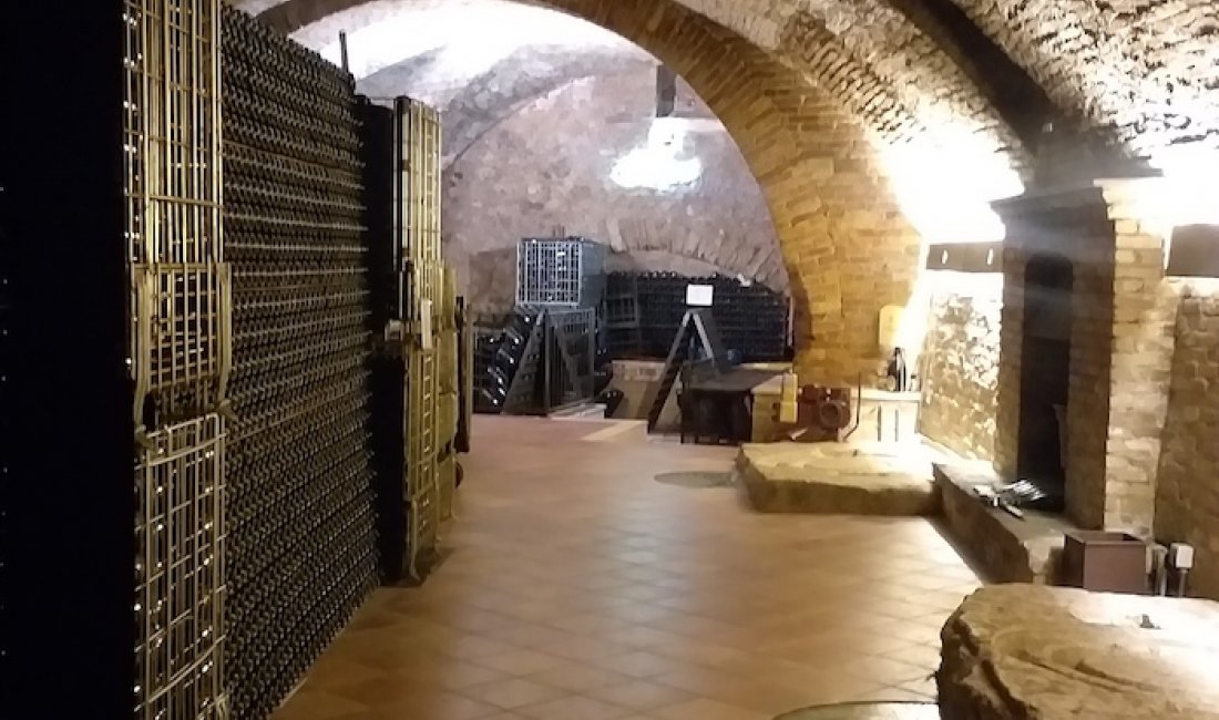 Una splendida cantina