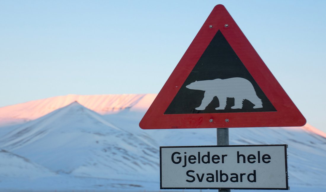 Cartello di pericolo orsi alle Svalbard © Elisa Polini e Luca Landoni
