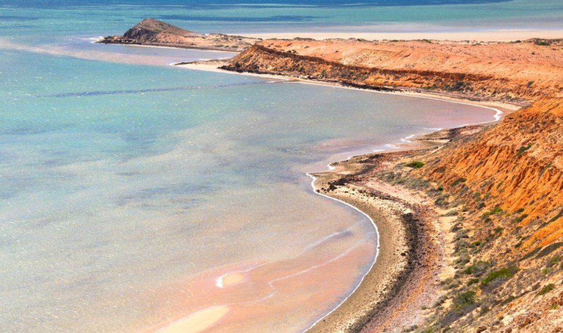 Shark Bay © Anna Disegna