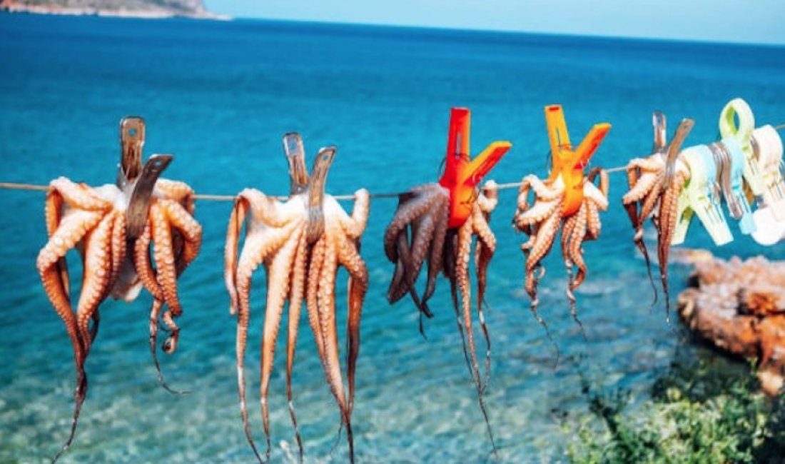 Grecia, i buoni frutti del pescato
