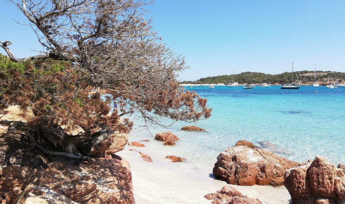 La sabbia fine e gli scogli rossi della spiaggia di Rondinara | copy Francesco Giro