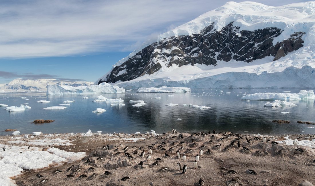 Antartide, una colonia di pinguini | Credit Elisa Polini e Luca Landoni