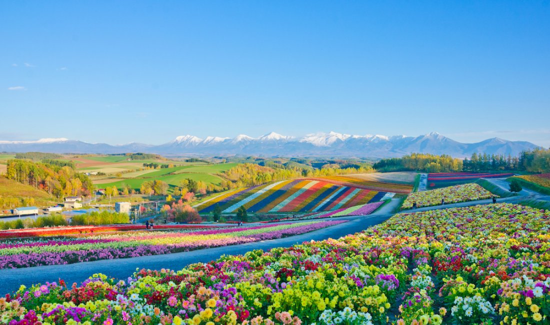 Colori dell'Hokkaido. Credits Tanya Jones