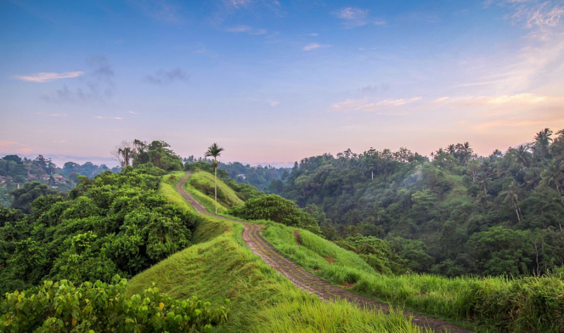 A spasso per il Campuhan Ridge, Bali