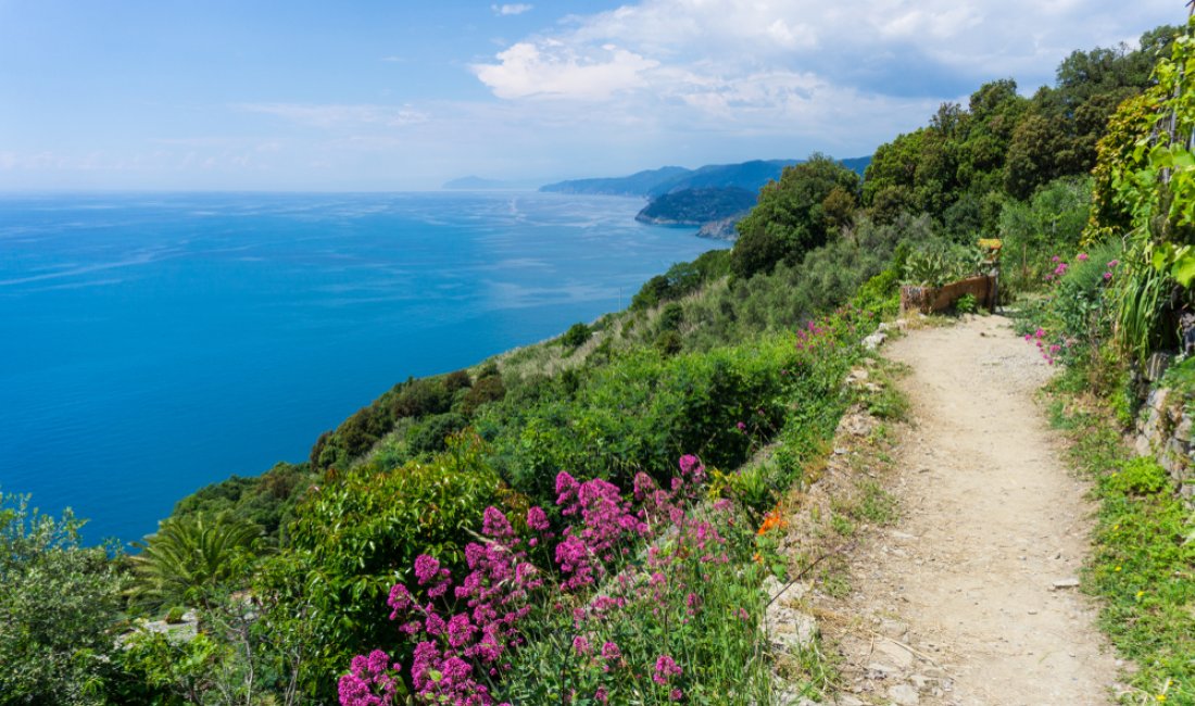 In cammino alle Cinque Terre