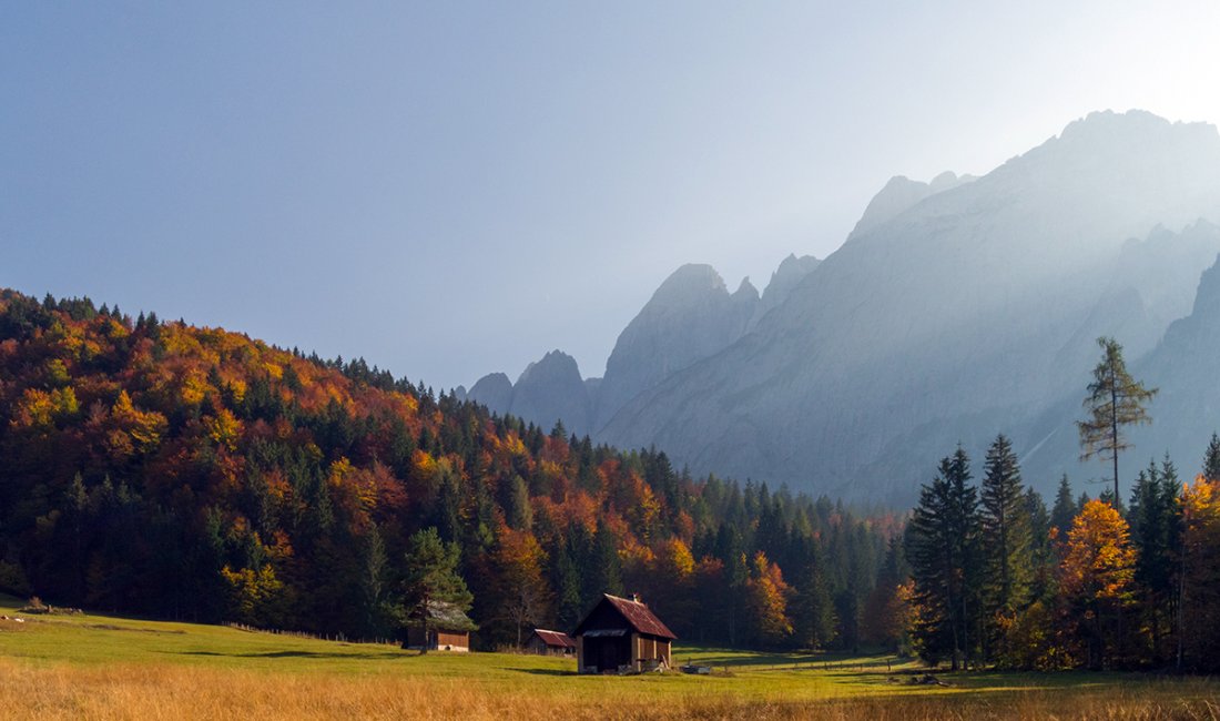 Colori d'autunno in Val Saisera
