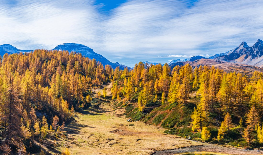 Alpe Devero, colori d'autunno