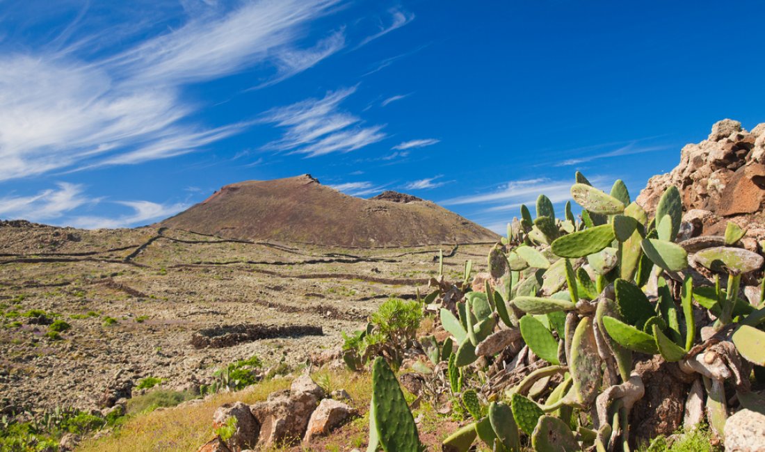 Il panorama roccioso di Fuerteventura