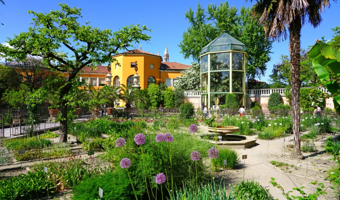 Padova, in giro per l'orto botanico