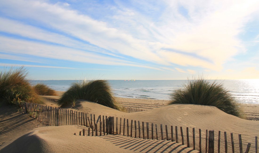 Camargue, dune e mare