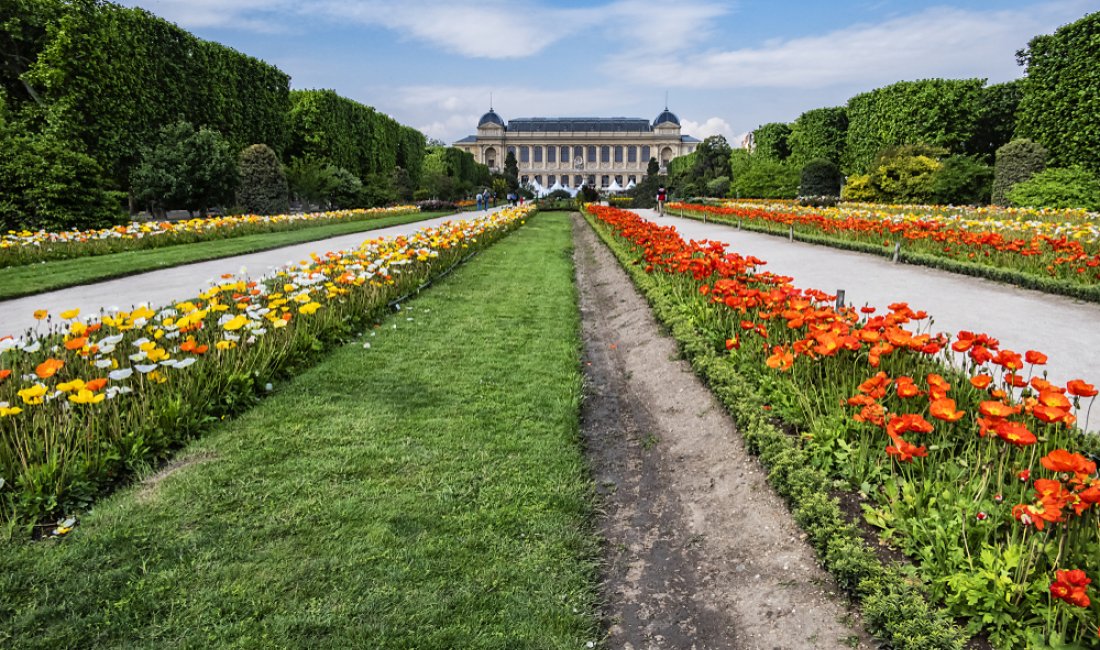 Prospettiva del Jardin des plantes. Credits Kiev.Victor / Shutterstock