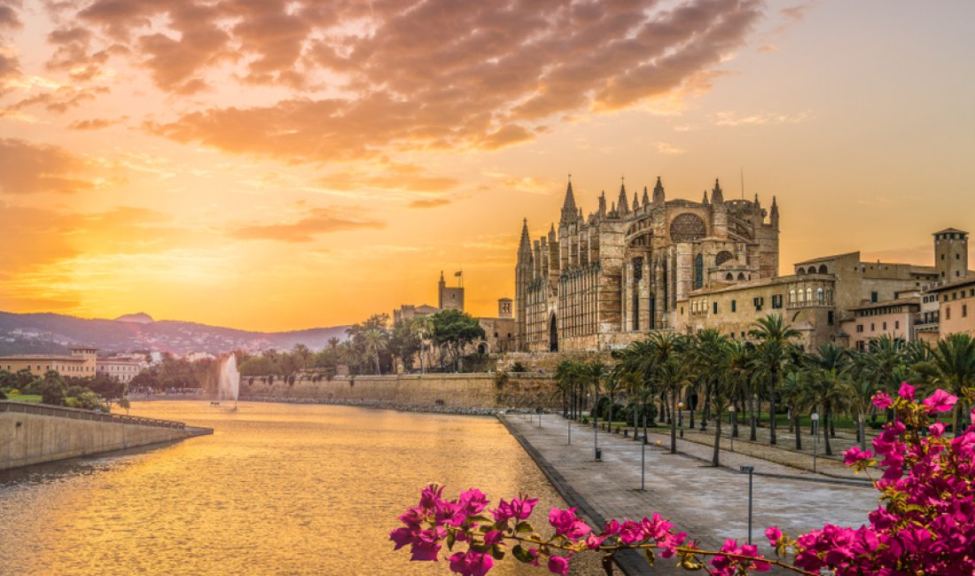 Palma, la splendida cattedrale