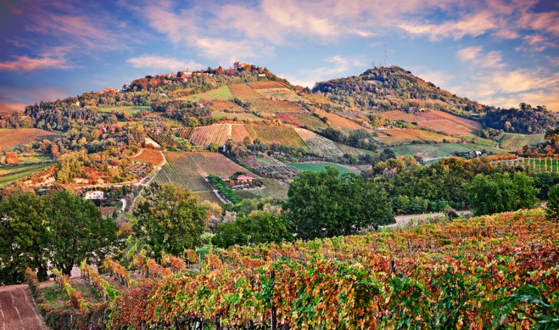 Bertinoro, il "balcone della Romagna"