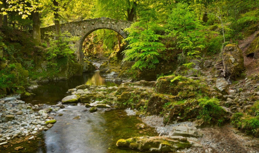 Il settecentesco Foleys Bridge nel Tolleymore Forest Park. Credits Sara Winter / Shutterstock