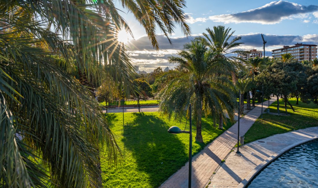 Giardini del Turia, Valencia. Credits DigitalPearls / Shutterstock