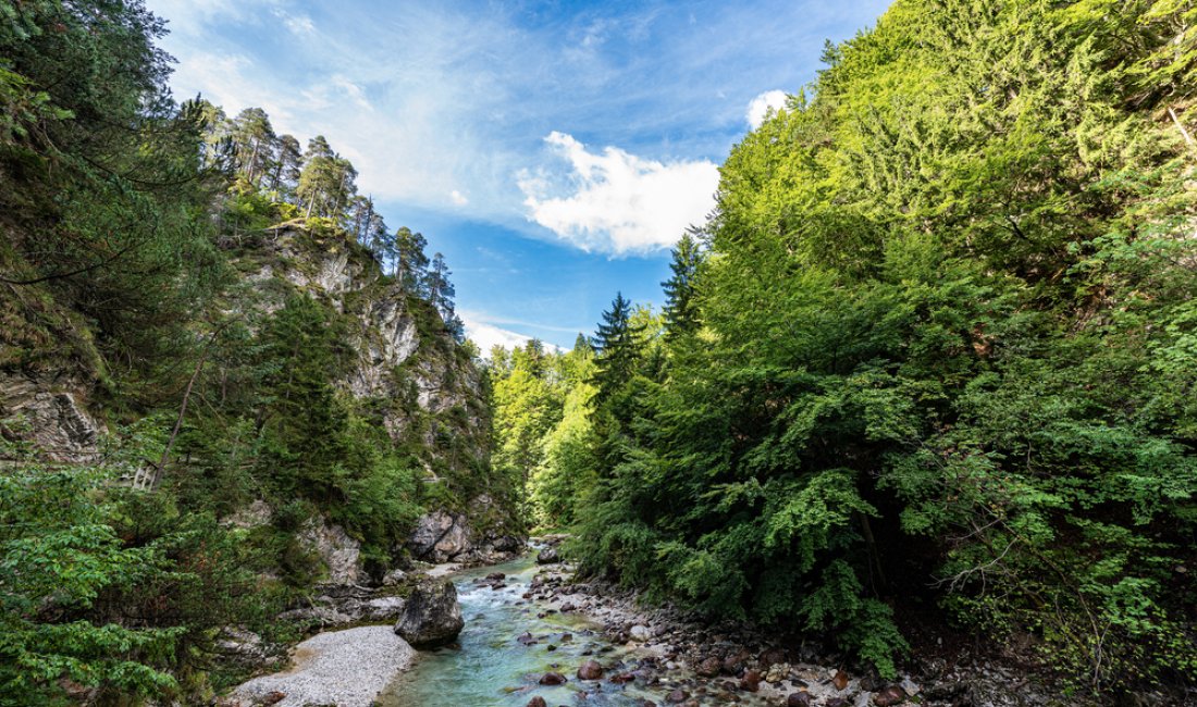 Il corso del torrente Slizza