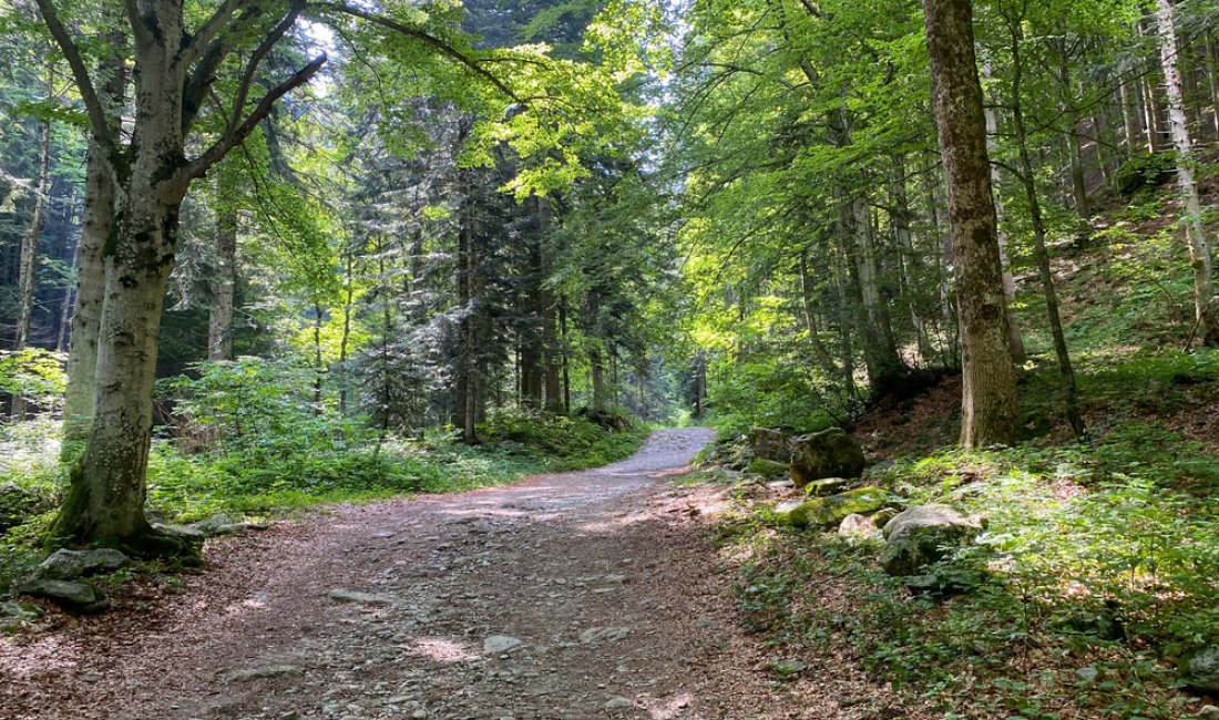 In giro per il parco del Marguareis. Credits / Shutterstock