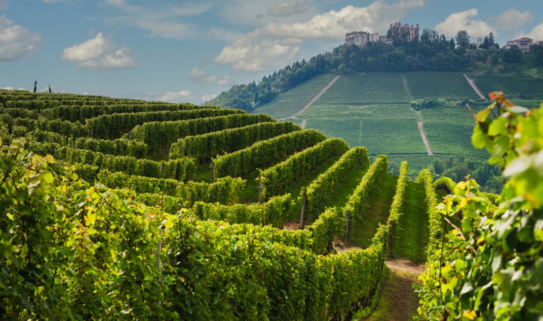 Le Langhe a Novello