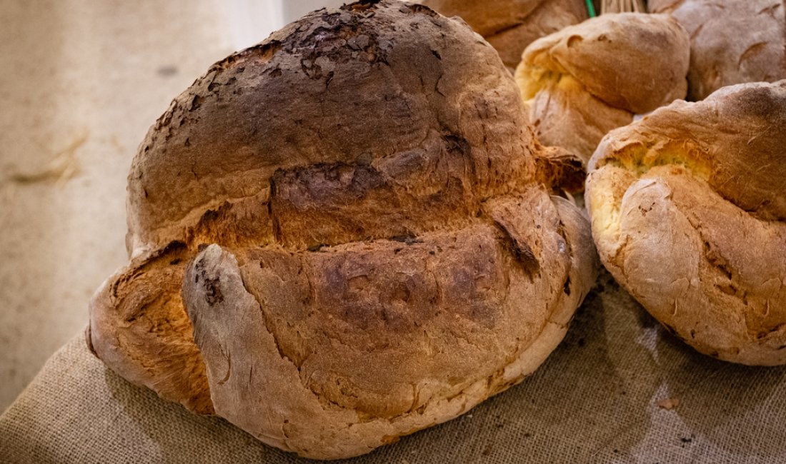 Altamura: il suo meraviglioso pane