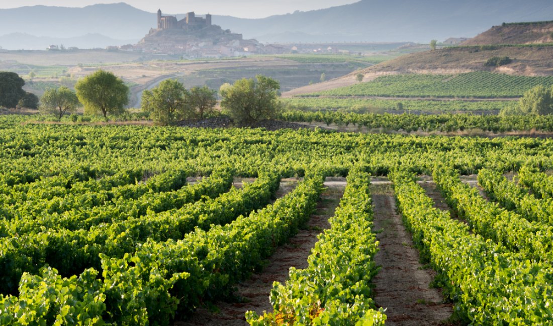 San Vicente de la Sonsierra, La Rioja