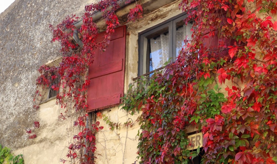 Luberon, colori d'autunno. Credits Federica Ravettino / Shutterstock