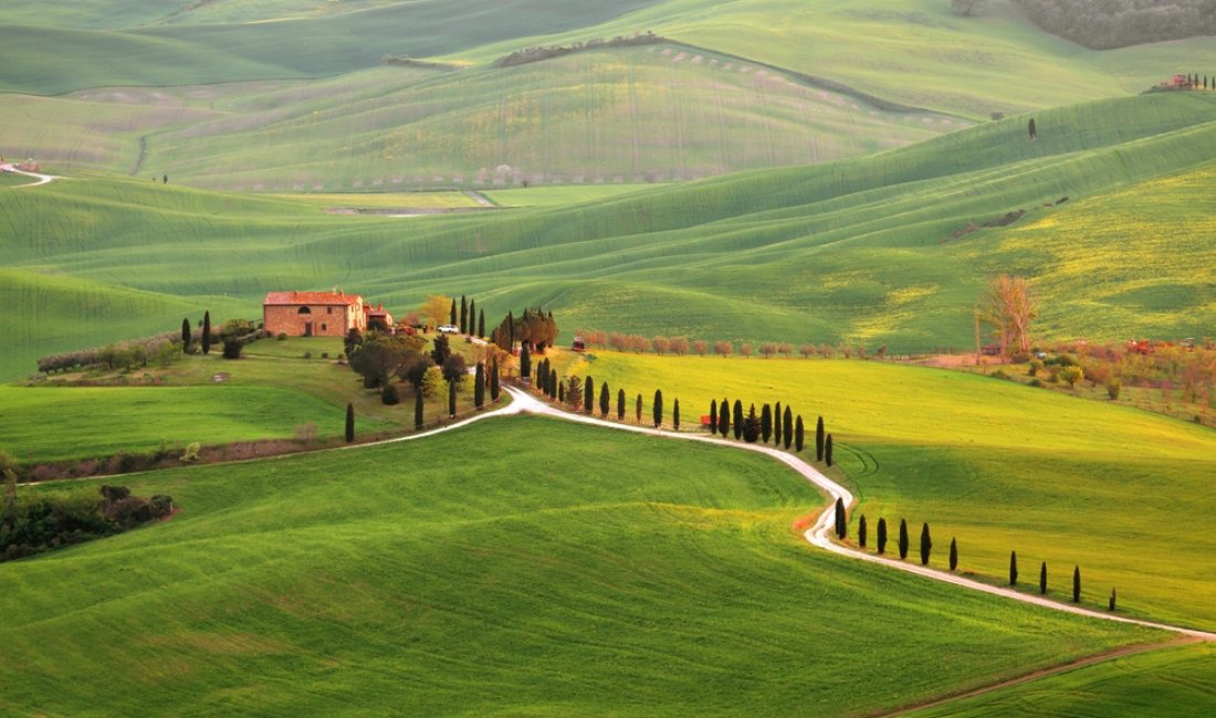 Per le strade della Toscana. Credits Mikadun / Shutterstock