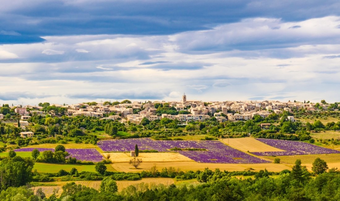 Lavanda nel Valensole. Credits Anetlanda / Shutterstock