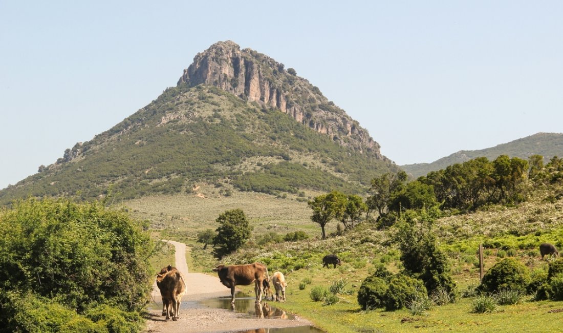 Il profilo del Monte Oseli, nell'Ogliastra. Credits AndreaRo / Shutterstock